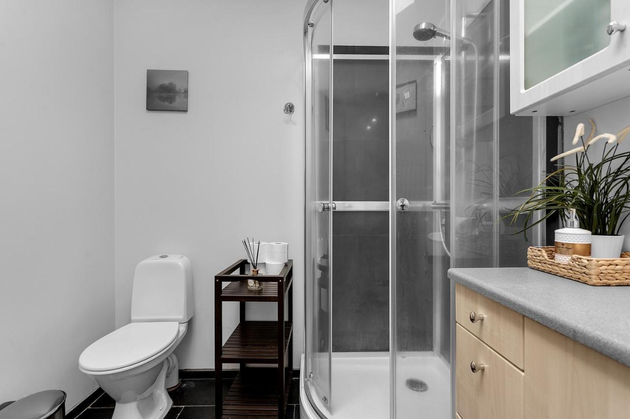 Baron Downtown Apartments 雷克雅維克 外观 照片